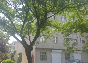 1996年 渭南倉程路杜橋信用社家屬樓、辦公樓